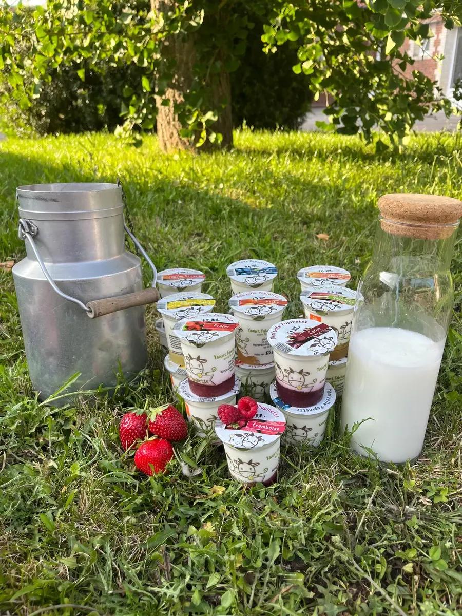 De la diététique aux yaourts locaux