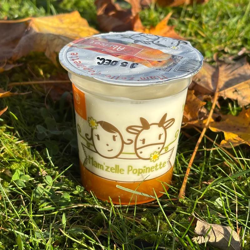 BRASSE SUR LIT DE FRUIT : ABRICOT - Mam'zelle Popinette