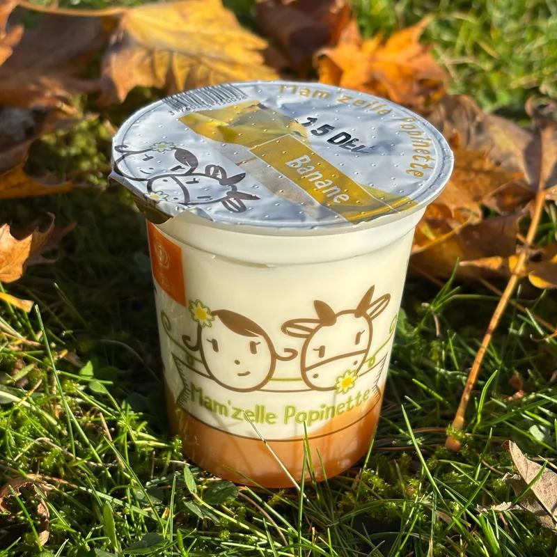 BRASSE SUR LIT DE FRUIT: BANANE - Mam'zelle Popinette