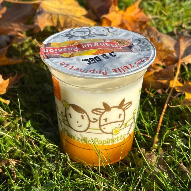 BRASSE SUR LIT DE FRUIT : MANGUE PASSION - Mam'zelle Popinette